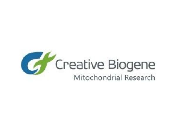 Creative Biogene