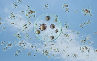 Small particles grouped into transparent bubbles